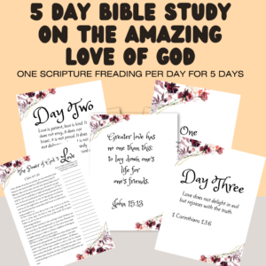 5 DAY BIBLE STUDY JOURNAL ON THE AMAZING LOVE OF GOD